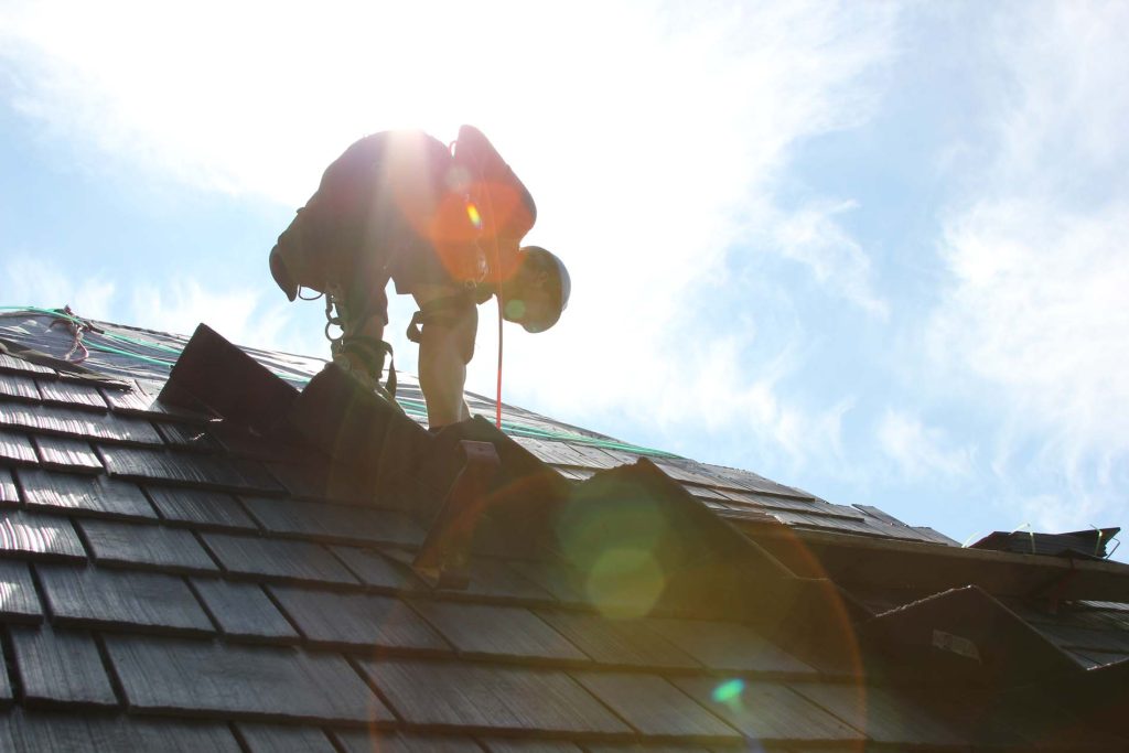 Professional roofing services