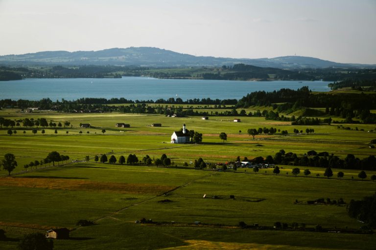 WhatsApp Image 2025-12-19 at 5.59.46 PM